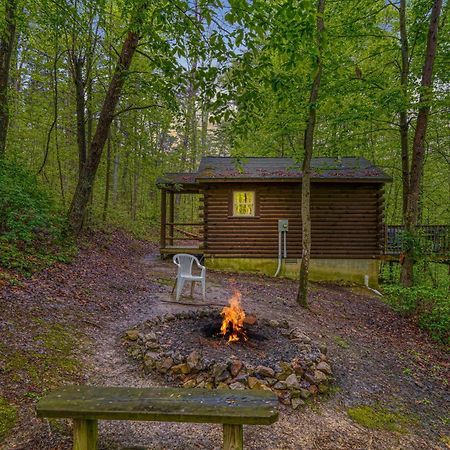Blue Rose Cabins - Wildwoods Cabin Лоуган Екстериор снимка